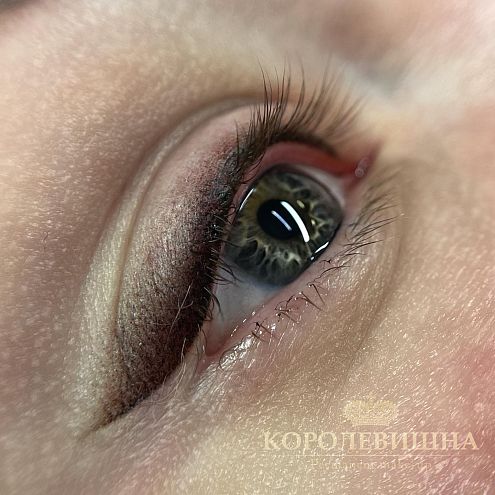 Пигмент для век #301 Кофе